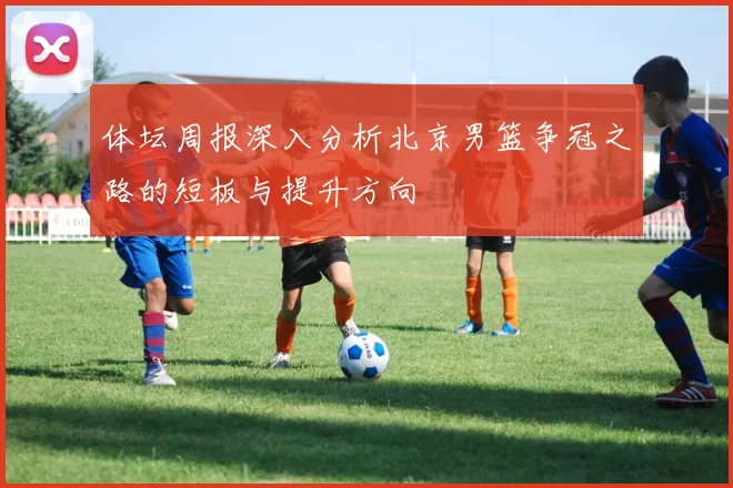 体坛周报深入分析北京男篮争冠之路的短板与提升方向