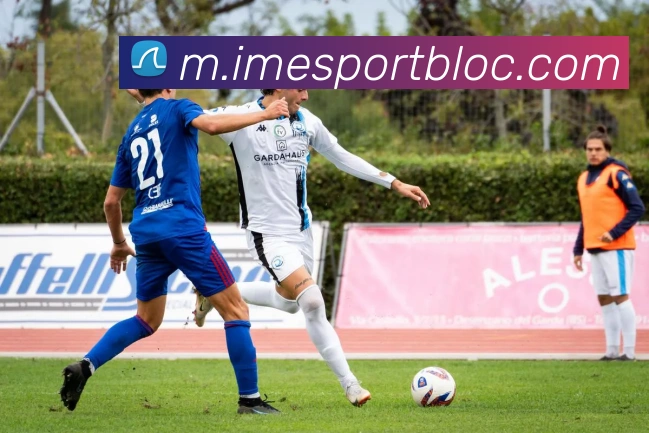 IM电竞服务体系